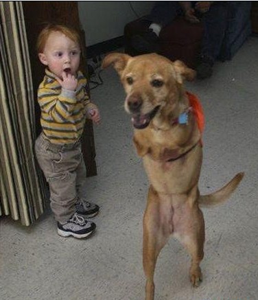 һֻ���С�����Ĺ�