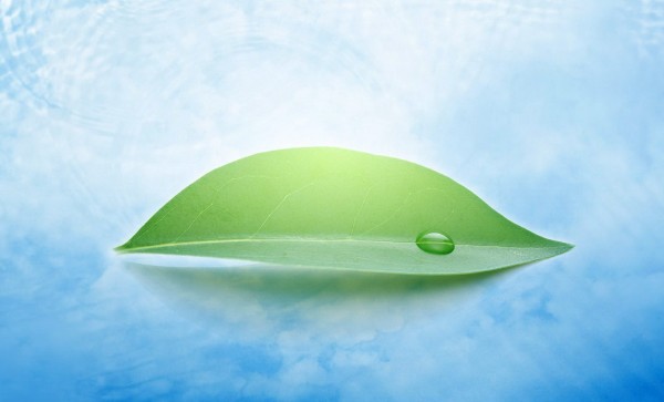 ����ѧ������ʮ�ط�