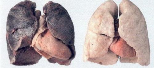 研究性学习课题开题报告 研究性学习课题开题报告