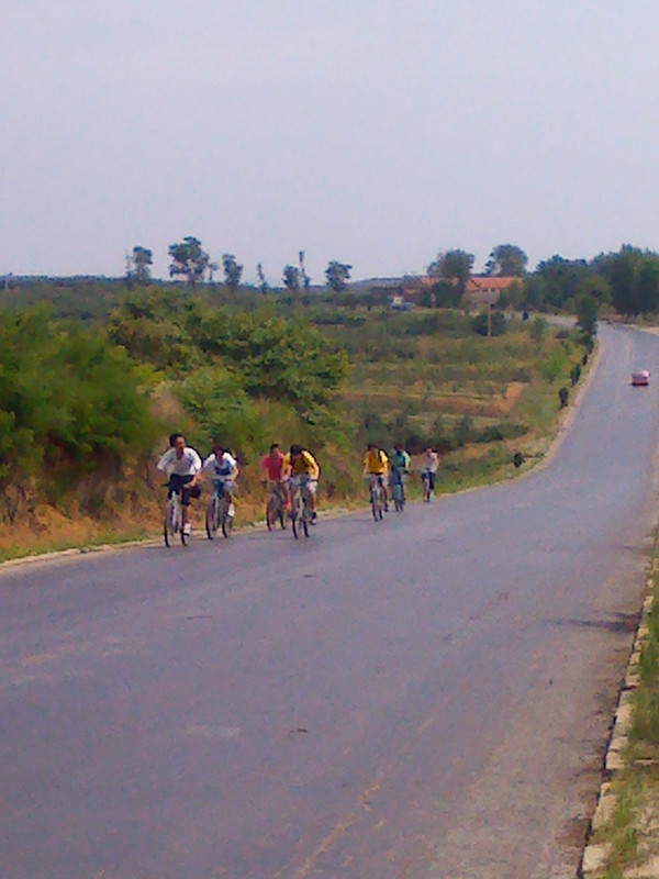 社会实践活动 社会实践活动