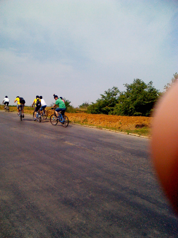 社会实践活动 社会实践活动