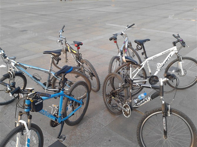 社会实践活动 社会实践活动