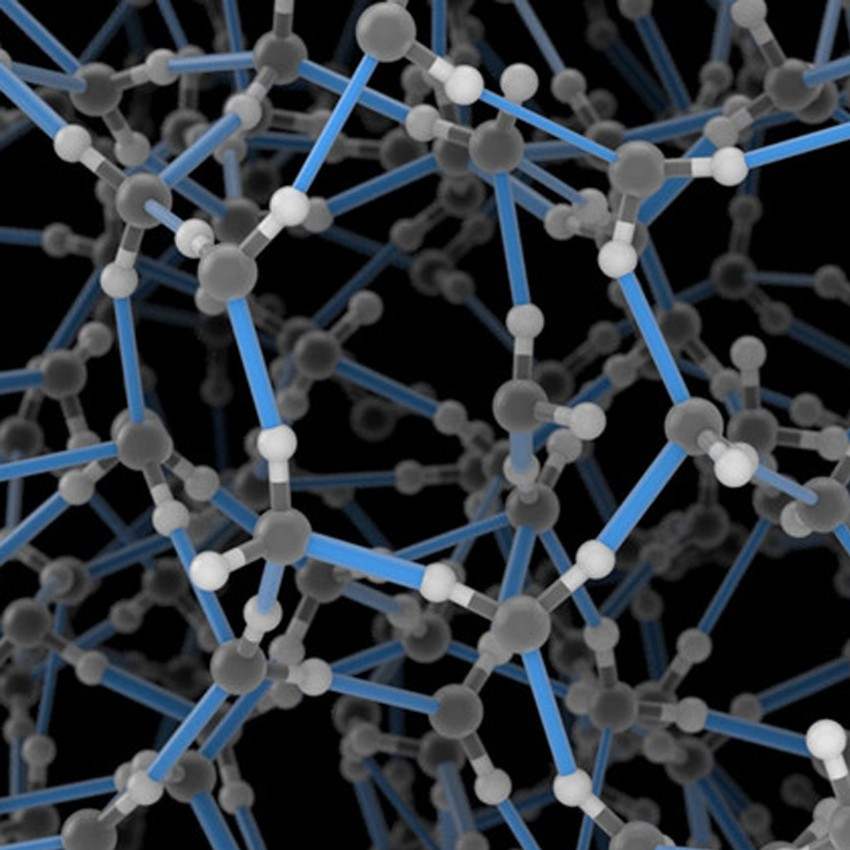 ��������ѧ����Ƭ ������